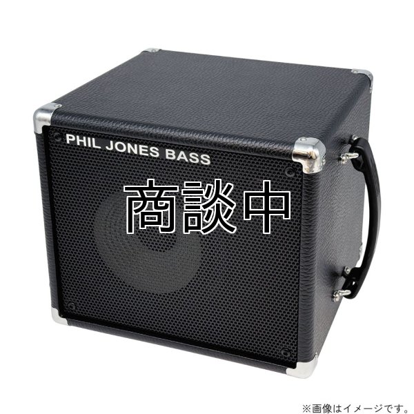 画像1: PJB / BassCabinet CAB-17   (1)