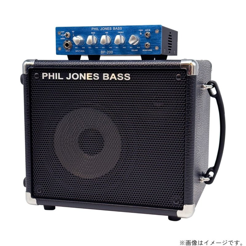 画像3: PJB / BassCabinet CAB-17   (3)