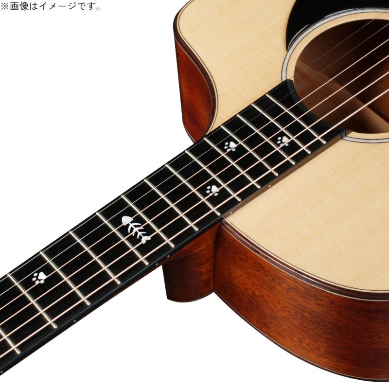 画像8: Natasha / Cat   (8)