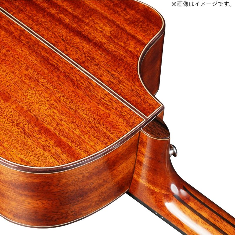 画像9: Natasha / Cat   (9)