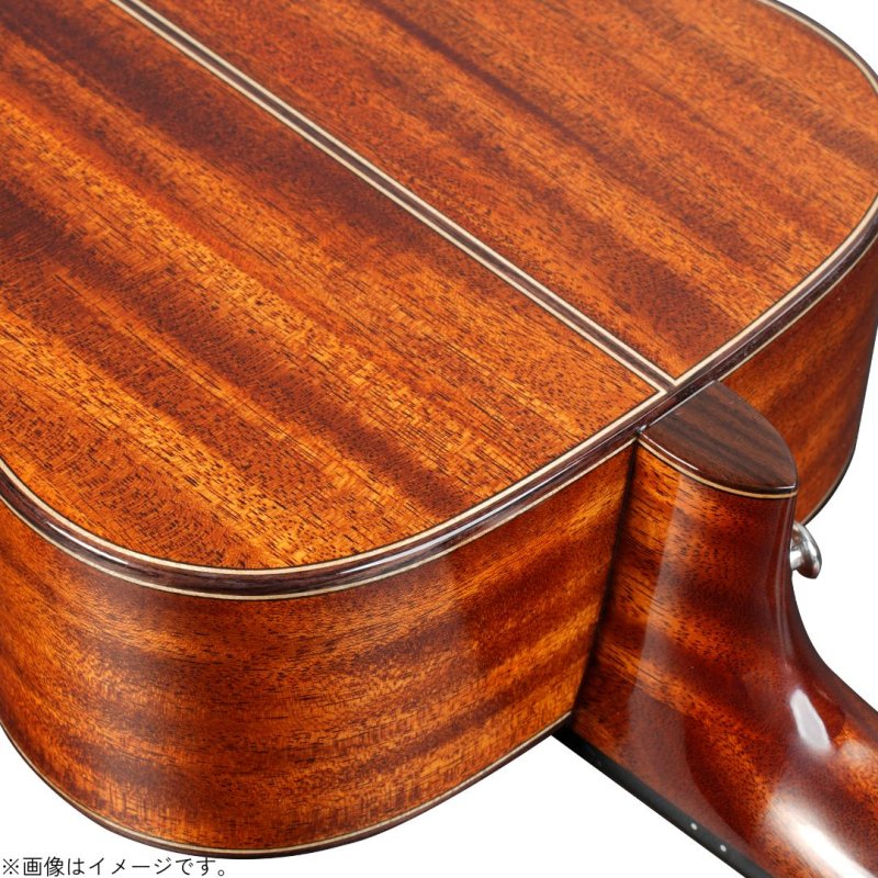 画像8: Natasha / Cat Mini   (8)