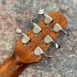 画像6:  【USED】  Natasha / Cat Mini w / HiFi by LRBaggs   (6)