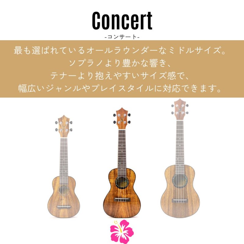 画像3: KUMU ukulele / Hi-Gloss Concert  【未展示在庫】 (3)