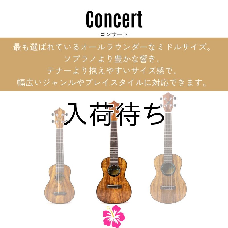 画像3: KUMU ukulele / Feather Concert  【未展示在庫】 (3)