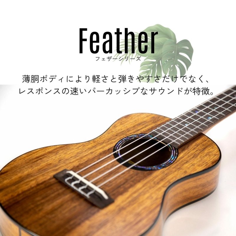 画像2: KUMU ukulele / Feather Tenor  【未展示在庫】 (2)