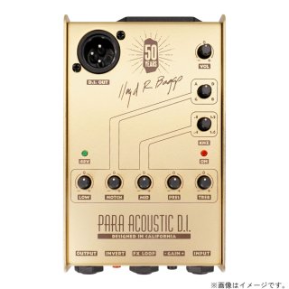 レコーディングキング　美品 オール単板　即戦力000モデル LR.BAGGS baggs-aeg-1-acoustic-electric-