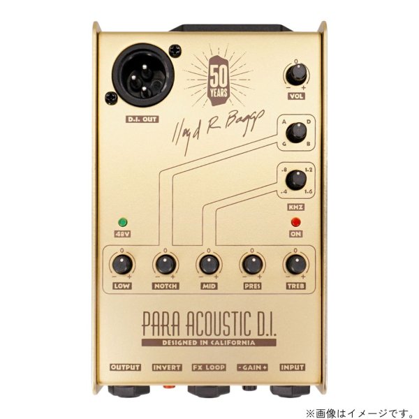 画像1:  限定生産  L.R.Baggs / Gold Para D.I.  (1)