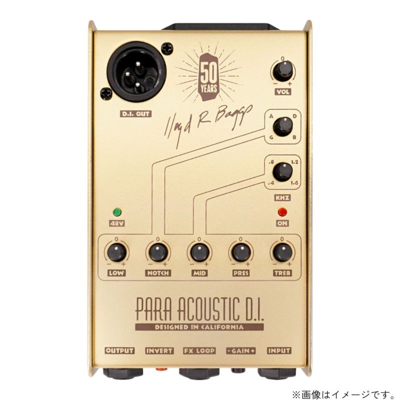 画像1:  限定生産  L.R.Baggs / Gold Para D.I.  (1)