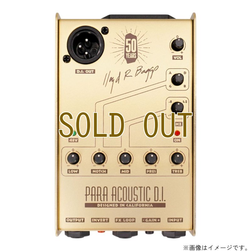 画像1:  限定生産  L.R.Baggs / Gold Para D.I.  (1)