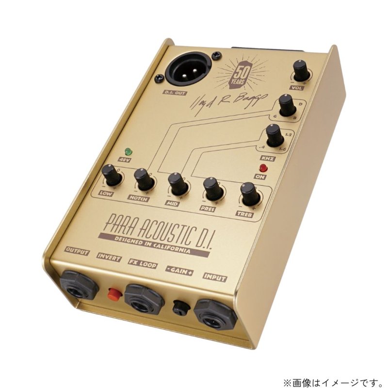 画像2:  限定生産  L.R.Baggs / Gold Para D.I.  (2)