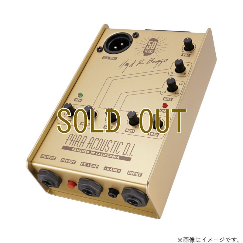 画像2:  限定生産  L.R.Baggs / Gold Para D.I.  (2)