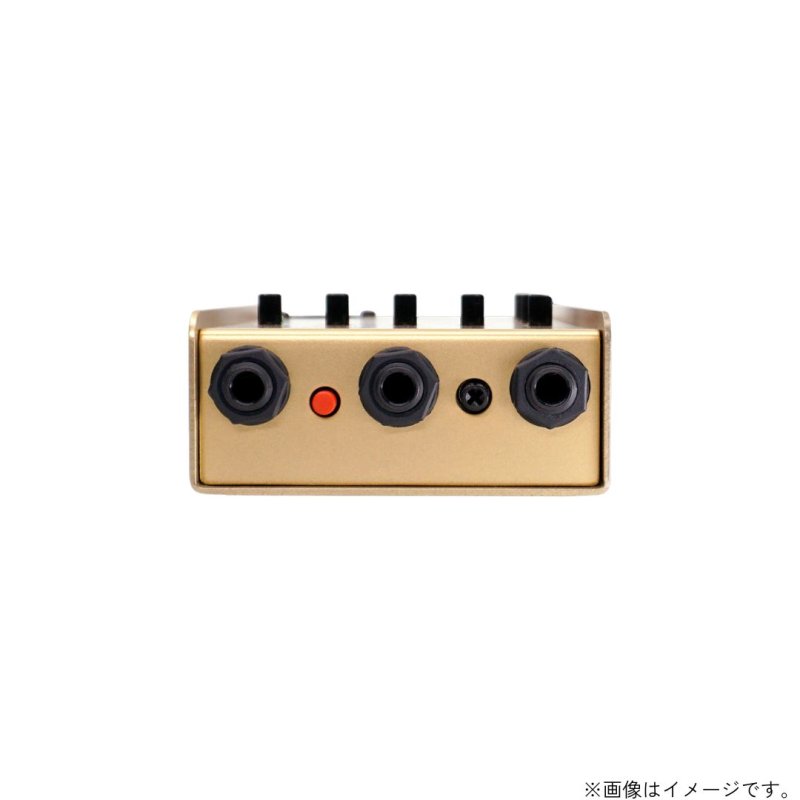 画像4:  限定生産  L.R.Baggs / Gold Para D.I.  (4)