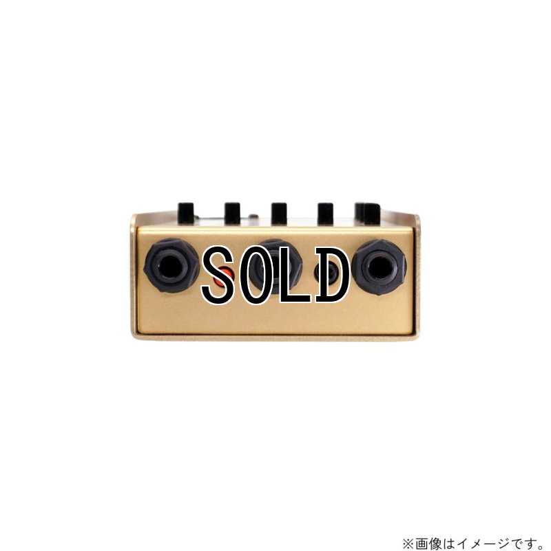画像4:  限定生産  L.R.Baggs / Gold Para D.I.  (4)