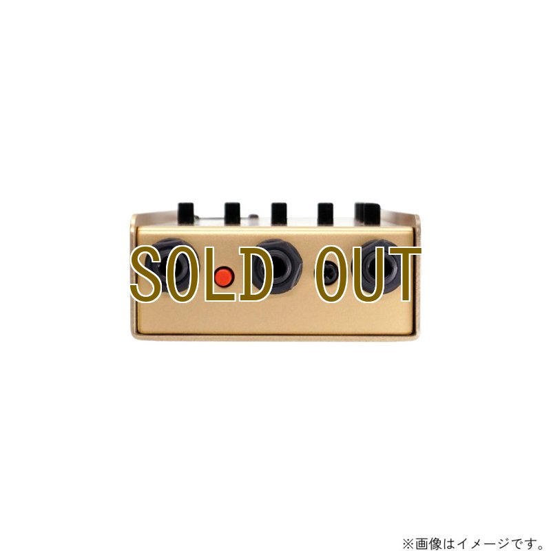 画像4:  限定生産  L.R.Baggs / Gold Para D.I.  (4)