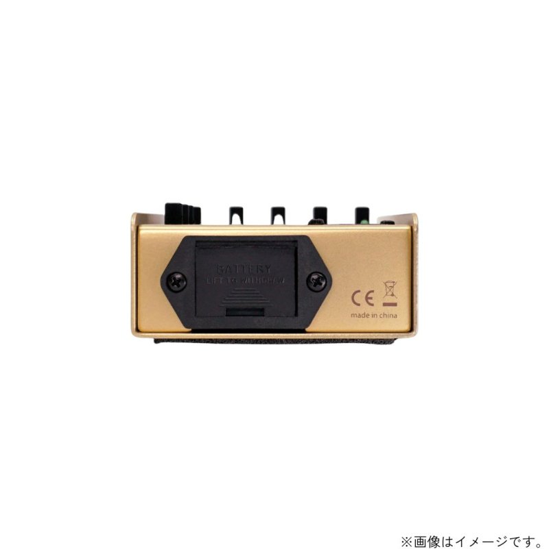 画像3:  限定生産  L.R.Baggs / Gold Para D.I.  (3)