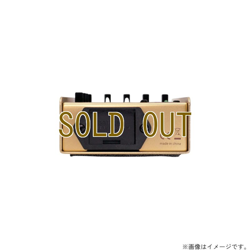 画像3:  限定生産  L.R.Baggs / Gold Para D.I.  (3)