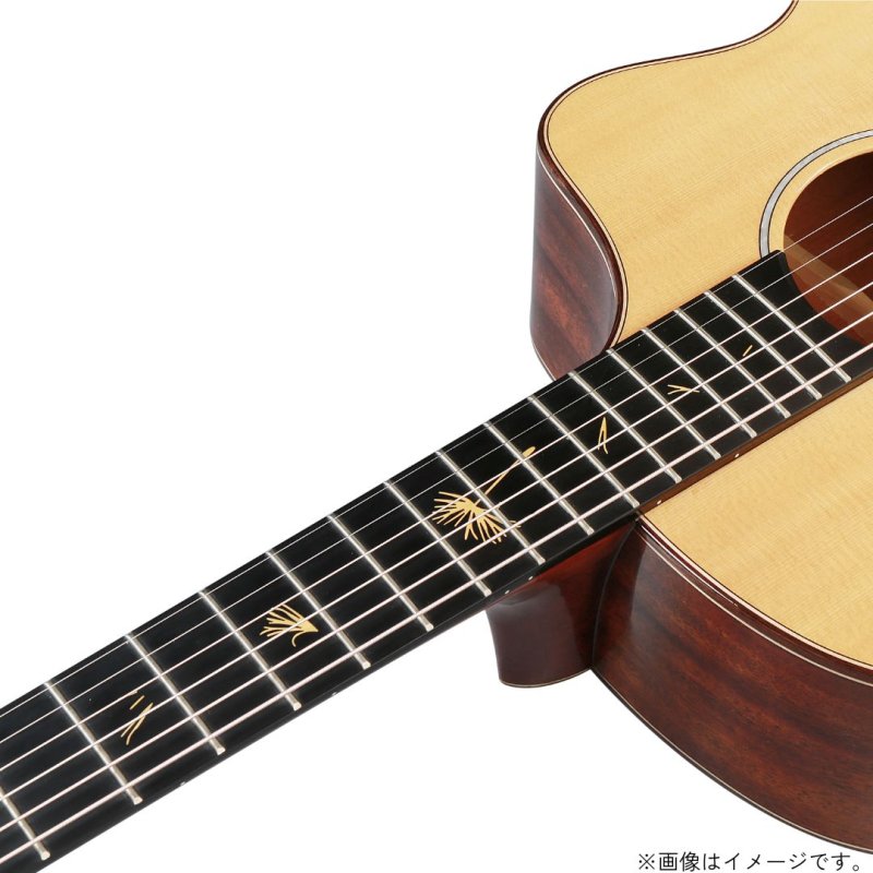 画像5: Natasha / JC-1 Mini   (5)