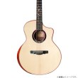 画像3: Natasha / JC-30S   (3)