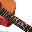 画像5: Natasha / JC-30S   (5)