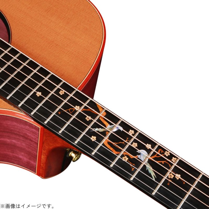画像5: Natasha / JC-30S   (5)