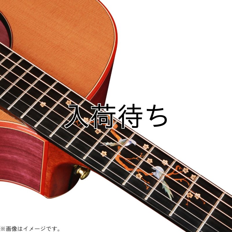 画像5: Natasha / JC-30S   (5)