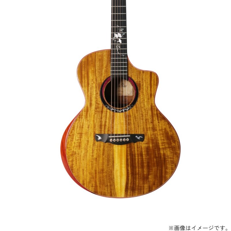 画像3: Natasha / JC-43   (3)