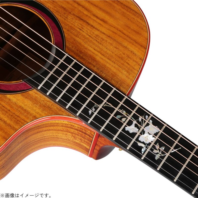 画像7: Natasha / JC-43   (7)