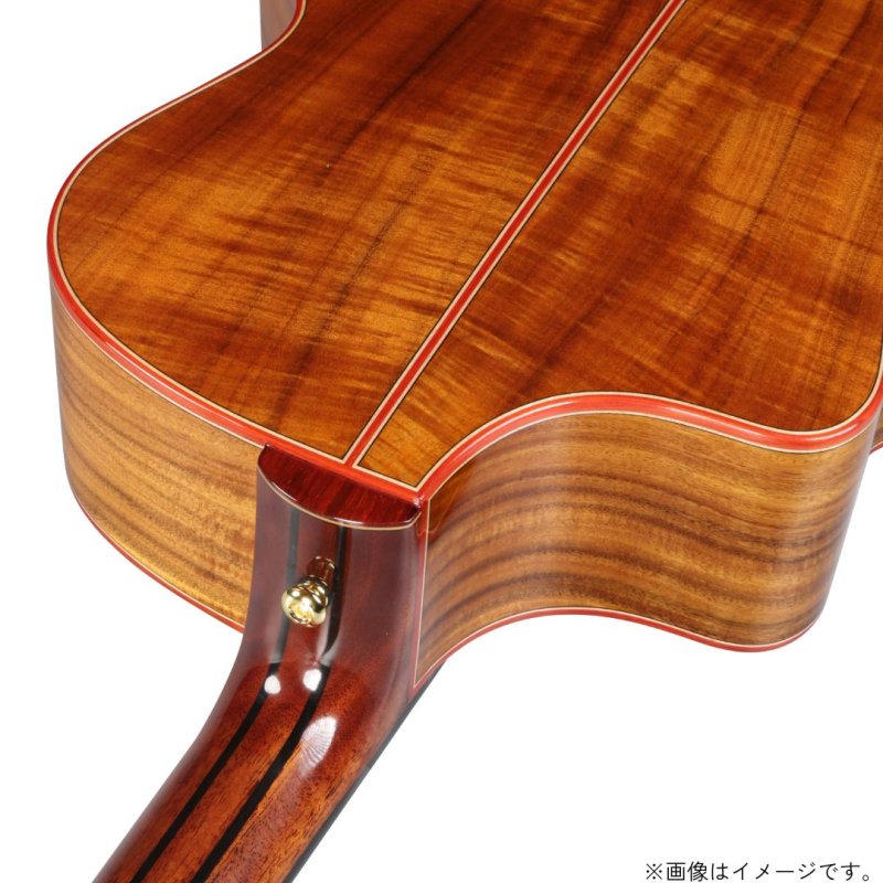 画像10: Natasha / JC-43   (10)