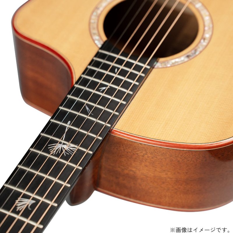 画像8: Natasha / JC-4   (8)