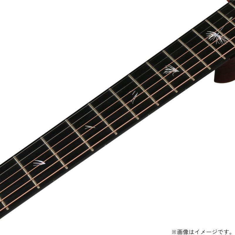 画像8: Natasha / JC-7  【未展示在庫】 (8)