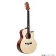 画像2:  【限定生産】  Natasha / KN-SE  【未展示在庫】 (2)