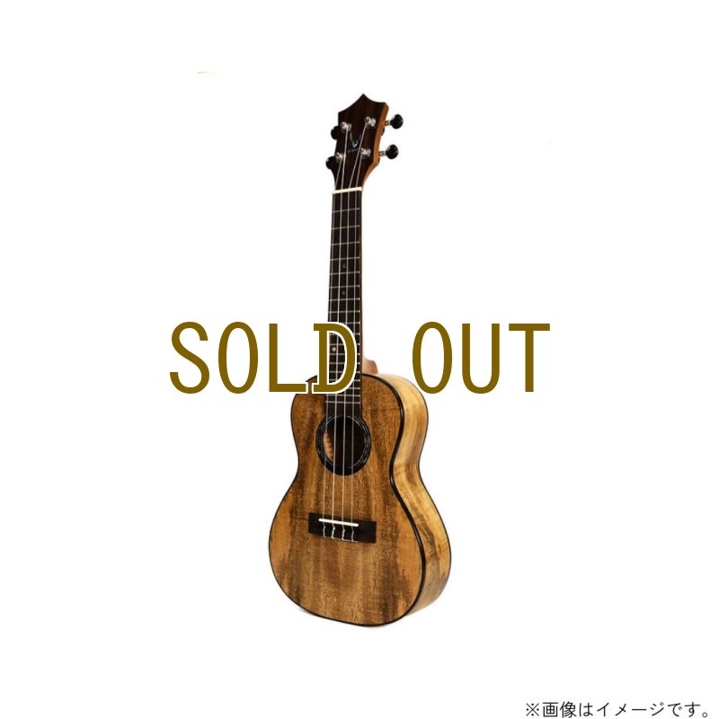 画像8: KUMU ukulele / Mango Concert  【未展示在庫】 (8)