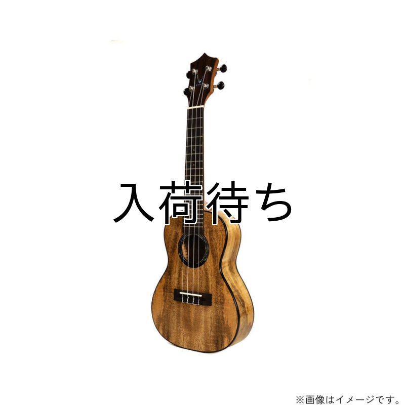 画像8: KUMU ukulele / Mango Concert  【未展示在庫】 (8)