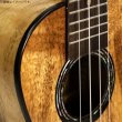 画像9: KUMU ukulele / Mango Concert  【未展示在庫】 (9)