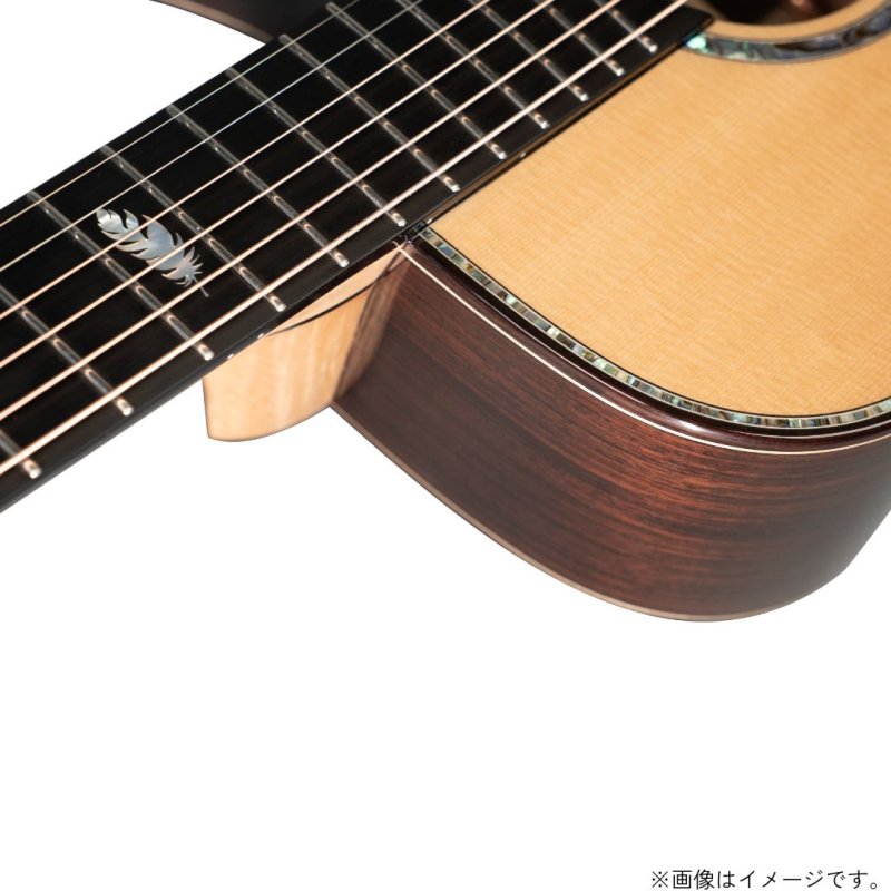 画像6:  【限定生産】  Natasha / OMDP-II   (6)