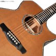 画像5:  【限定生産】  Natasha / OMDP-III   (5)