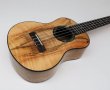 画像3: KUMU ukulele / Tenor Mango   (3)