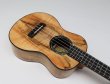 画像4: KUMU ukulele / Tenor Mango   (4)