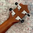 画像6:  【USED】  KUMU ukulele / Tuxedo Tenor w / Five-O by LRBaggs (#20060043)  【店頭展示品】 (6)