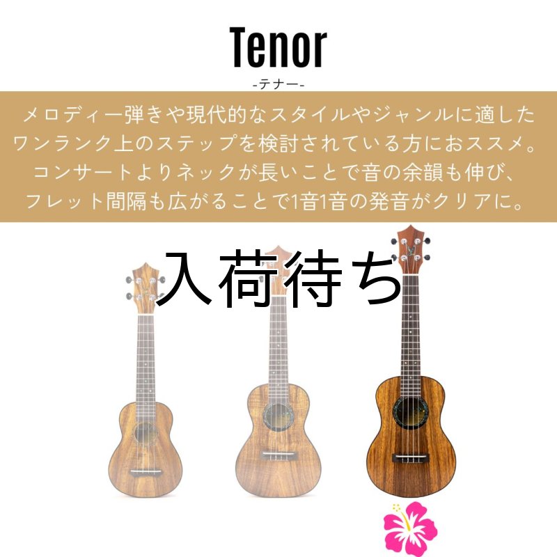 画像3: KUMU ukulele / Mango Tenor  【未展示在庫】 (3)