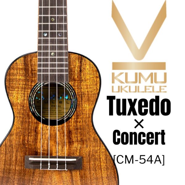 画像1: KUMU ukulele / Concert Tuxedo  【未展示在庫】 (1)