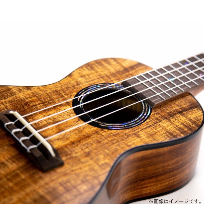 画像8: KUMU ukulele / Concert Tuxedo  【未展示在庫】 (8)