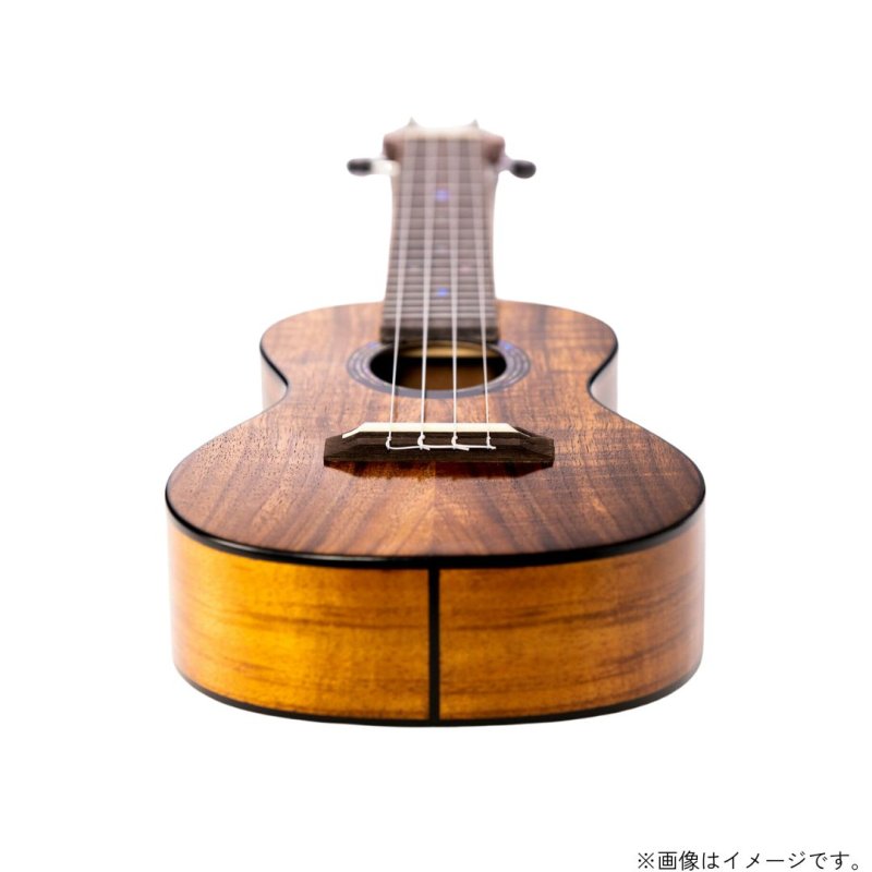 画像9: KUMU ukulele / Concert Tuxedo  【未展示在庫】 (9)