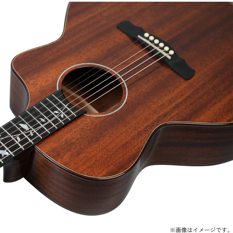 画像5: Natasha / Vitalis   (5)