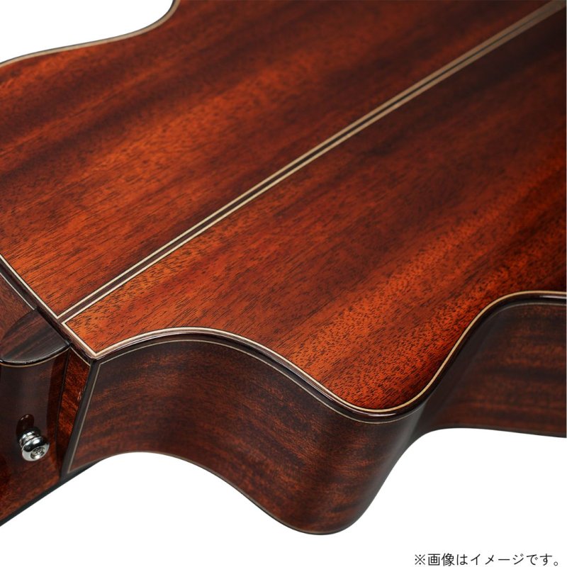 画像10: Natasha / Vitalis   (10)