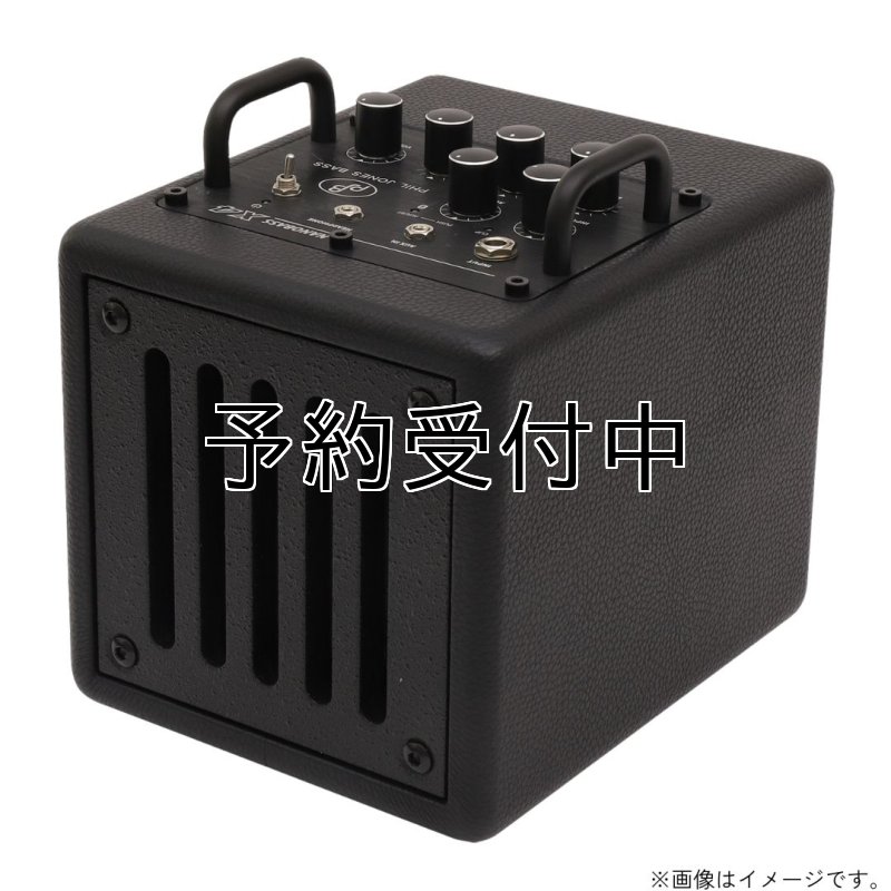 画像2: PJB / Nanobass X4, Black  (2)