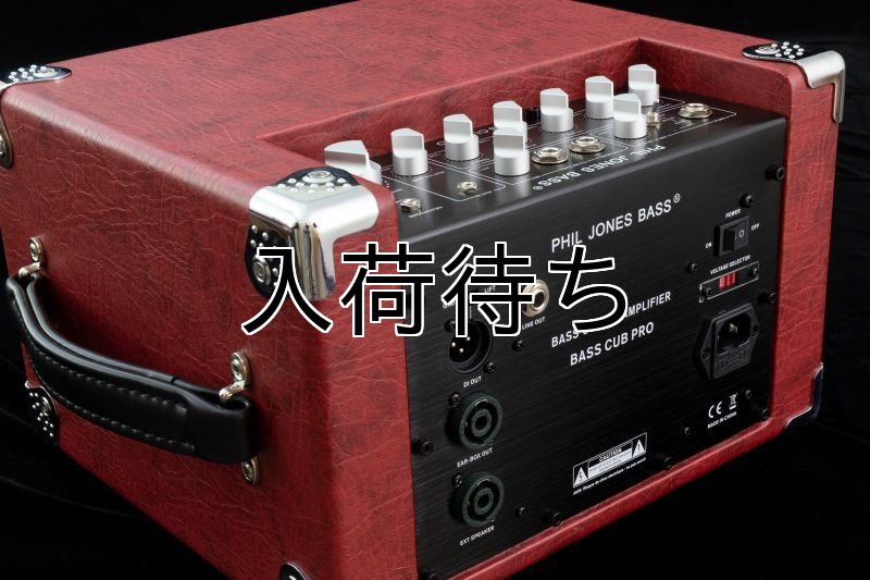 画像3: PJB / BassCubPro, Black   (3)