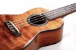 画像2: KUMU ukulele / Concert HighGloss   (2)