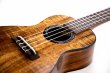 画像2: KUMU ukulele / Concert Tuxedo   (2)