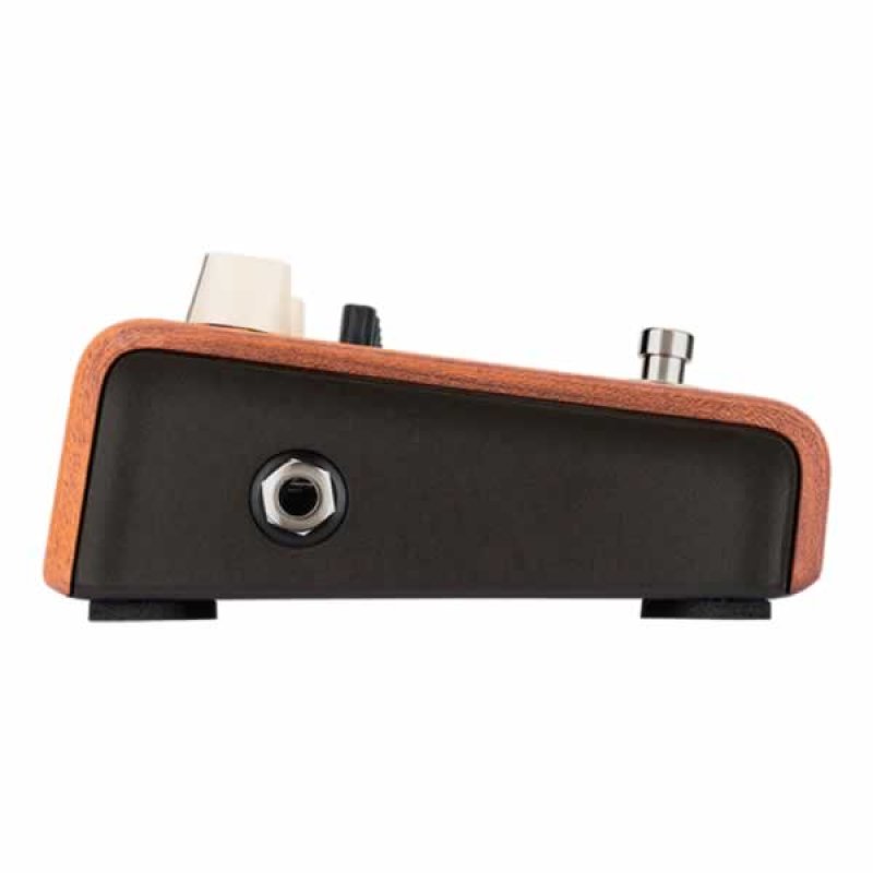 画像4: L.R.Baggs　Align EQUALIZER (4)